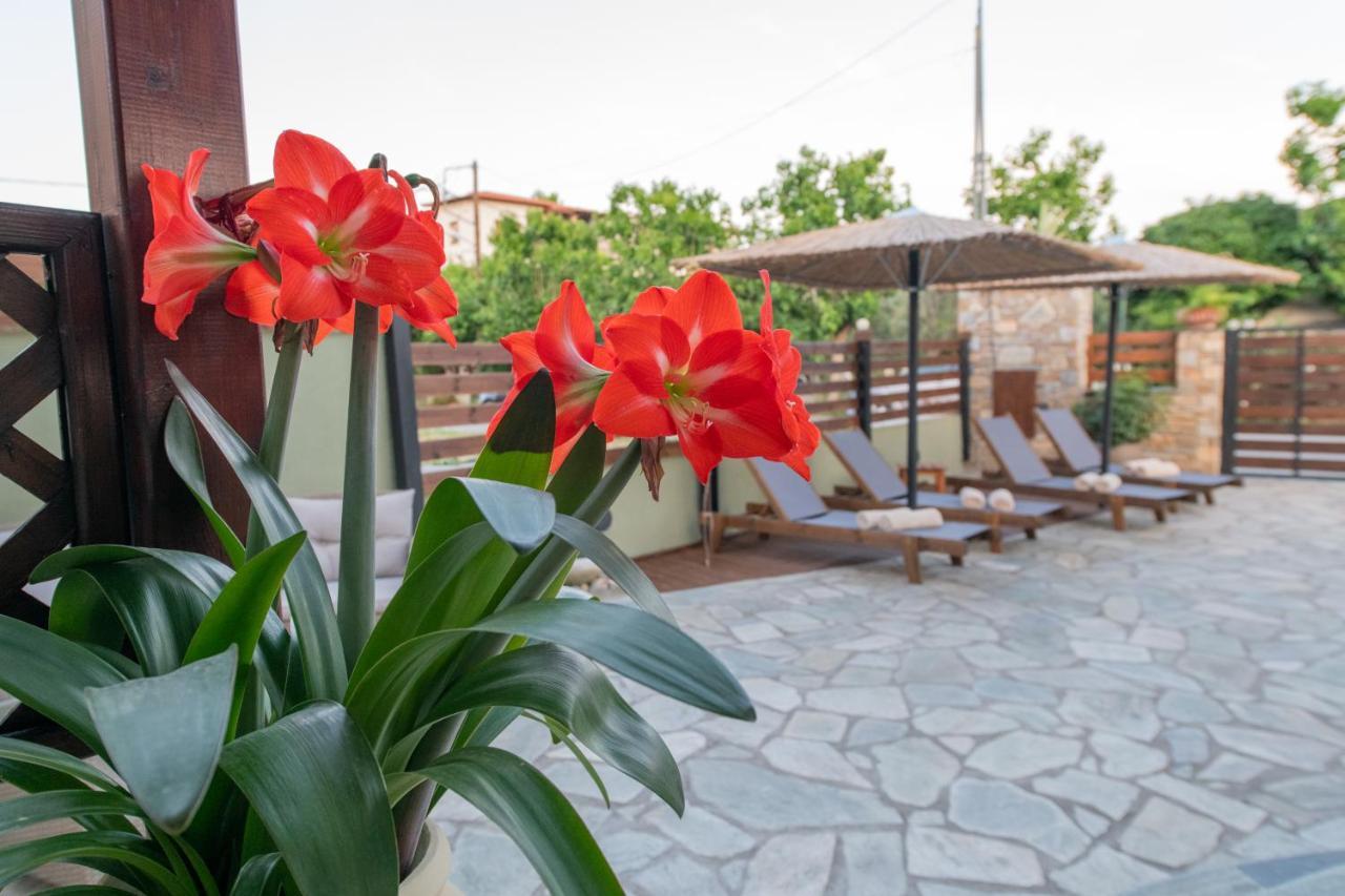 Villa Filyra Κάτω Γατζέα Εξωτερικό φωτογραφία